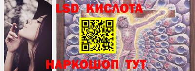 прущие грибы Камышлов