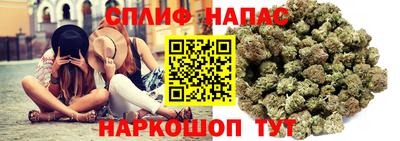 прущие грибы Камышлов