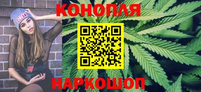 прущие грибы Камышлов