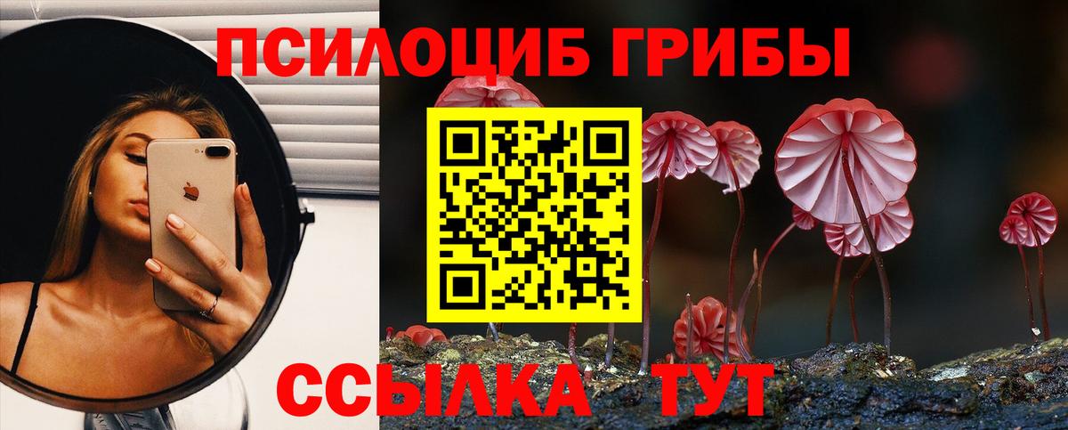 Дубна  закладки  Вход с VPN  Псилоцибиновые грибы прущие грибы 